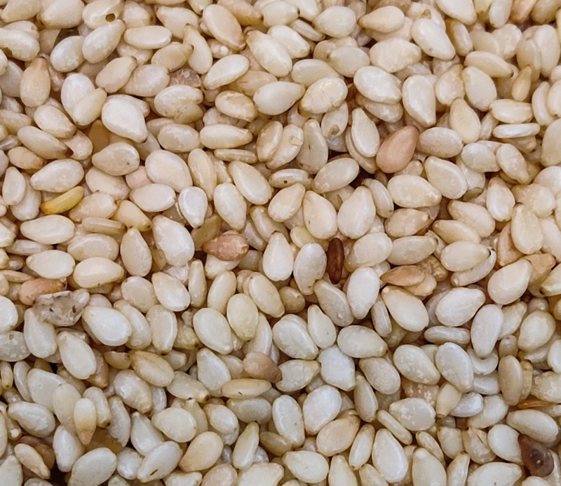 کنجد