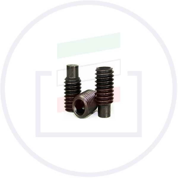 Screw