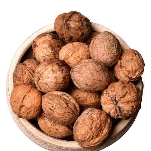 گردو